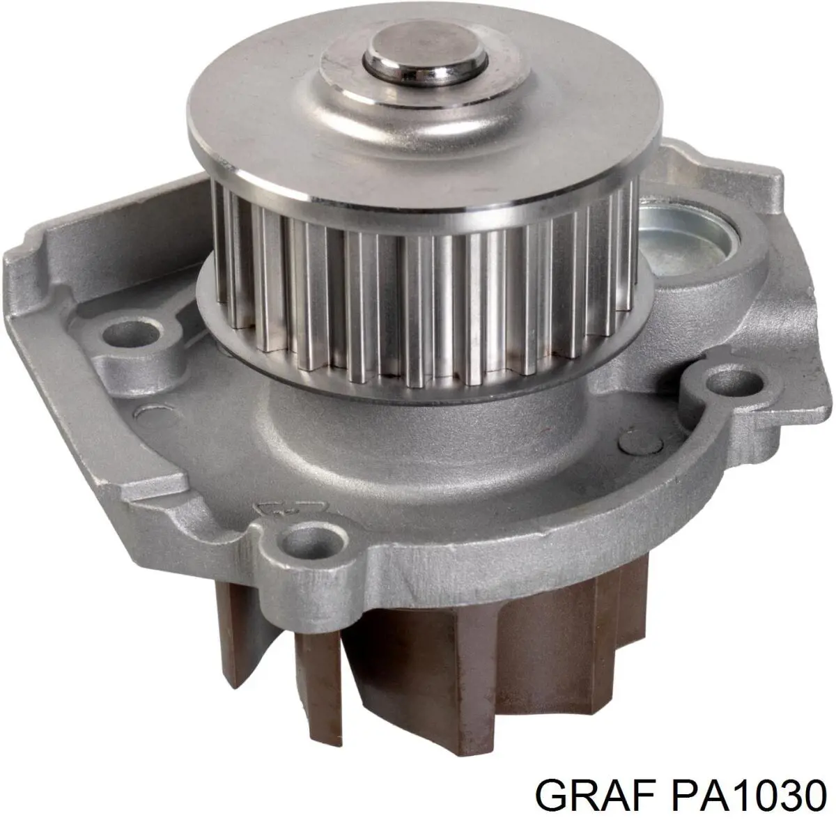 Bombeadora de agua Graf PA1030 precio, desde 38,65 EUR