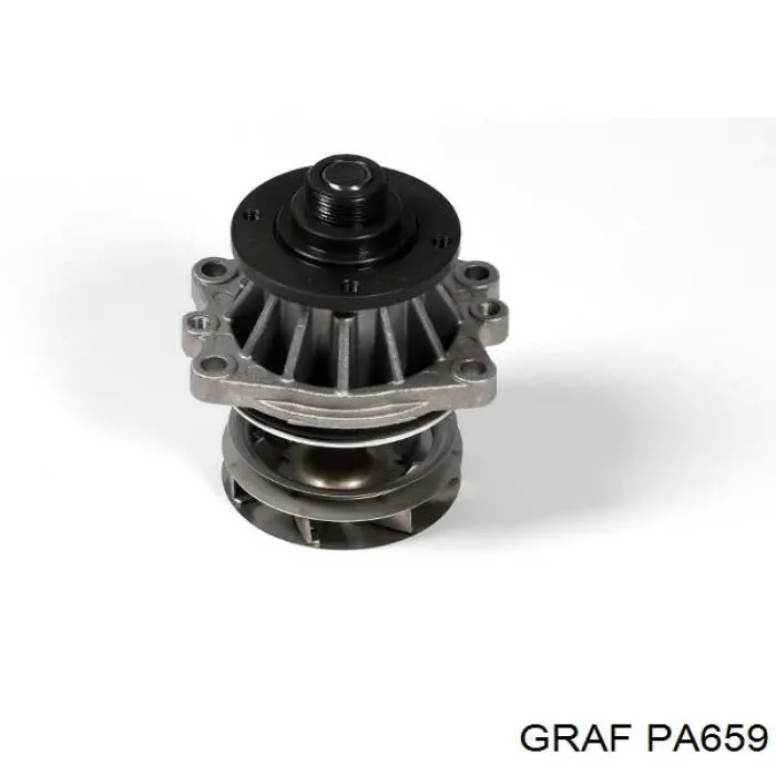 Bombeadora de agua Graf PA659 precio, desde 39,10 EUR