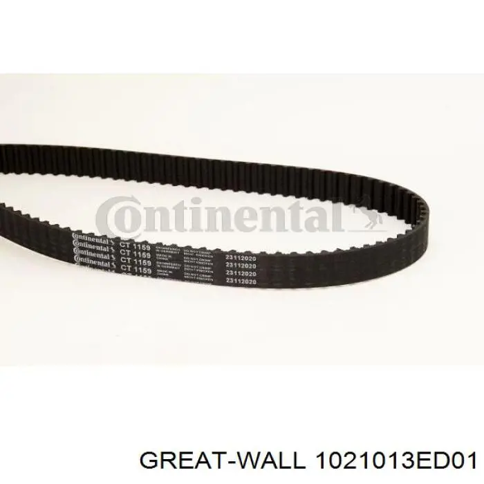 1021013ED01 Great Wall Correa dentada