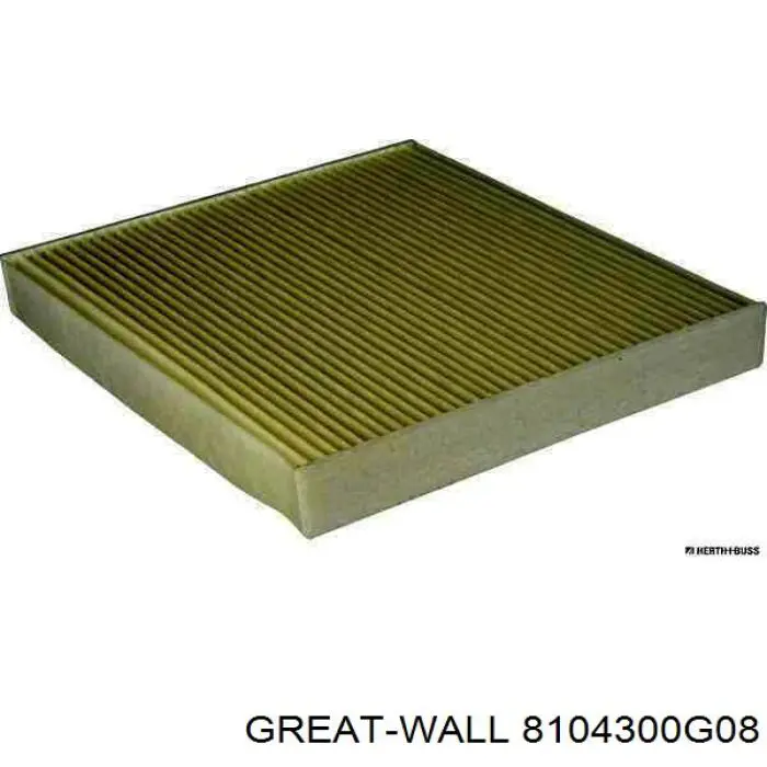 8104300G08 Great Wall Filtro antipolen