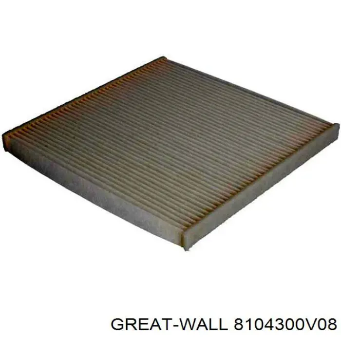 8104300V08 Great Wall Filtro antipolen