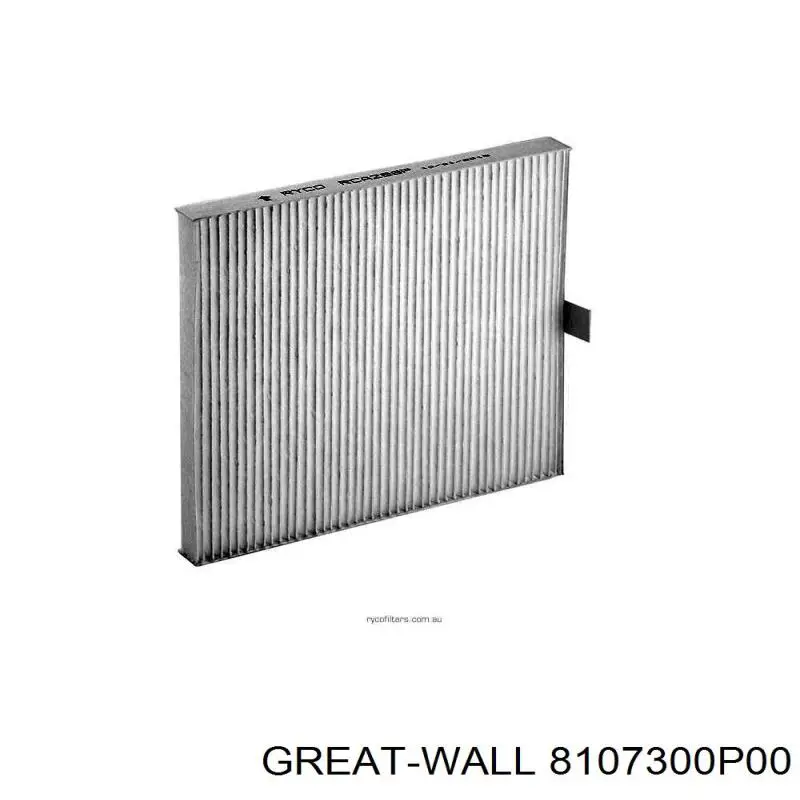 8107300P00 Great Wall Filtro antipolen