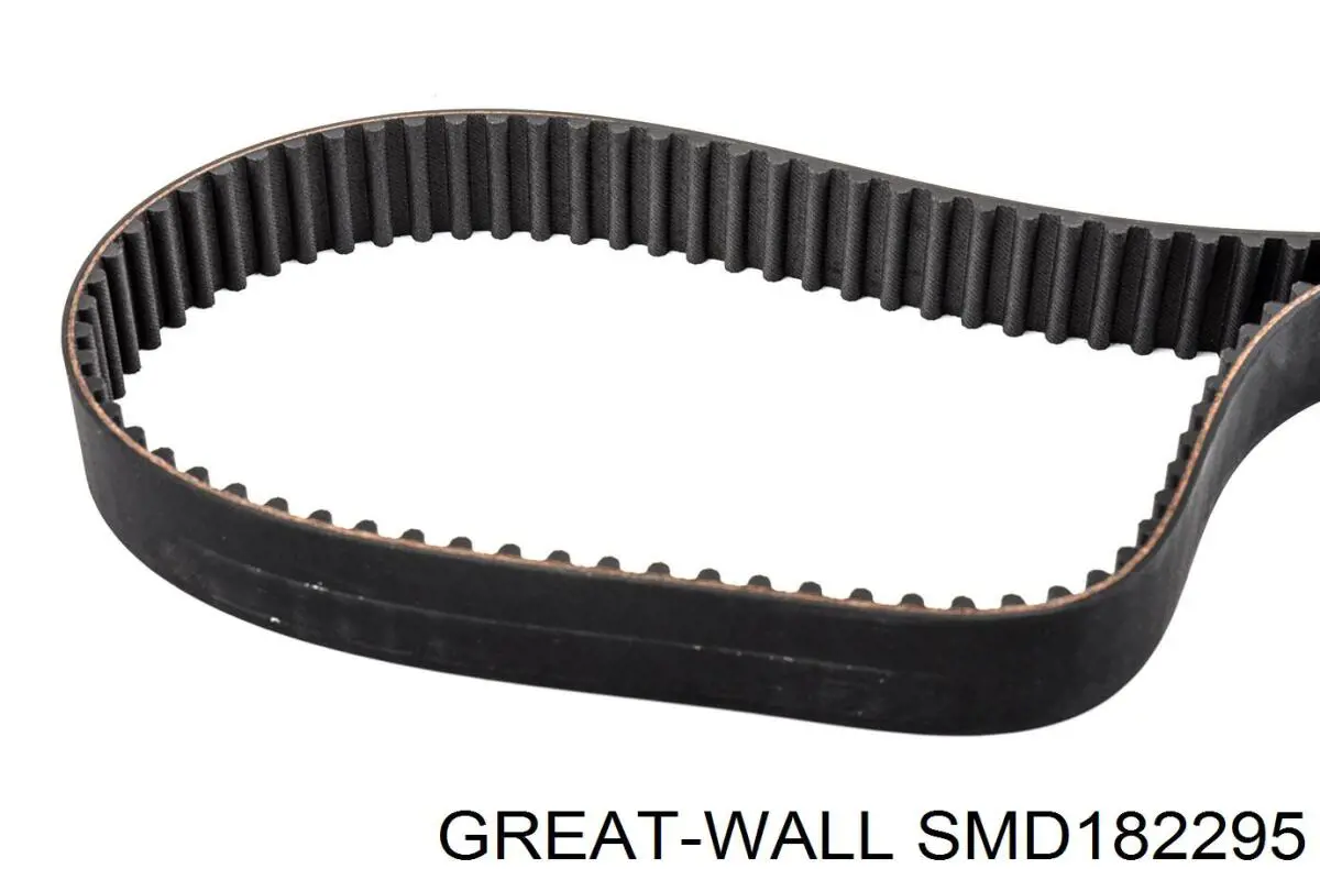 SMD182295 Great Wall correa dentada, eje de balanceo