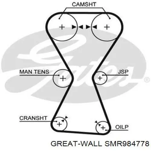 SMR984778 Great Wall correa distribucion