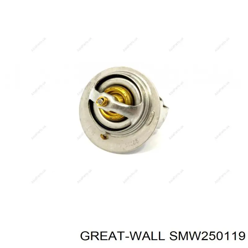 SMW250119 Great Wall sensor de temperatura del refrigerante
