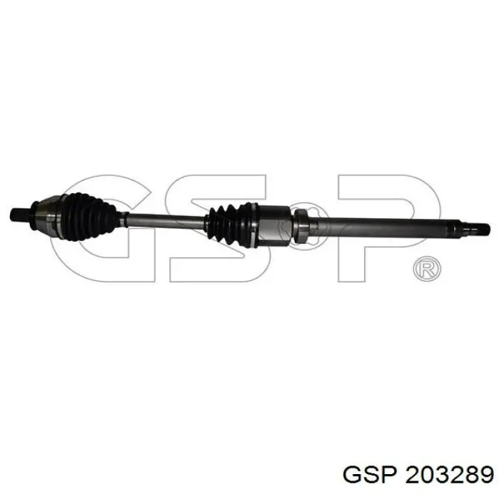 203289 GSP Semieje delantero derecho