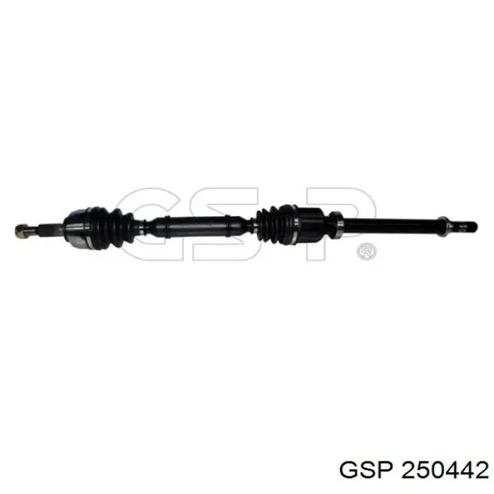 250442 GSP Semieje delantero derecho