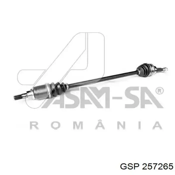 Palier trasero GSP 257265 precio, desde 64,49 EUR