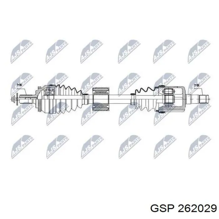 Comprar 262029 GSP Semieje delantero izquierdo