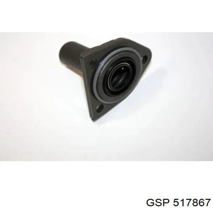 Guía del eje primario de la caja de cambios Gates ETM2035 precio, desde 9,88 EUR