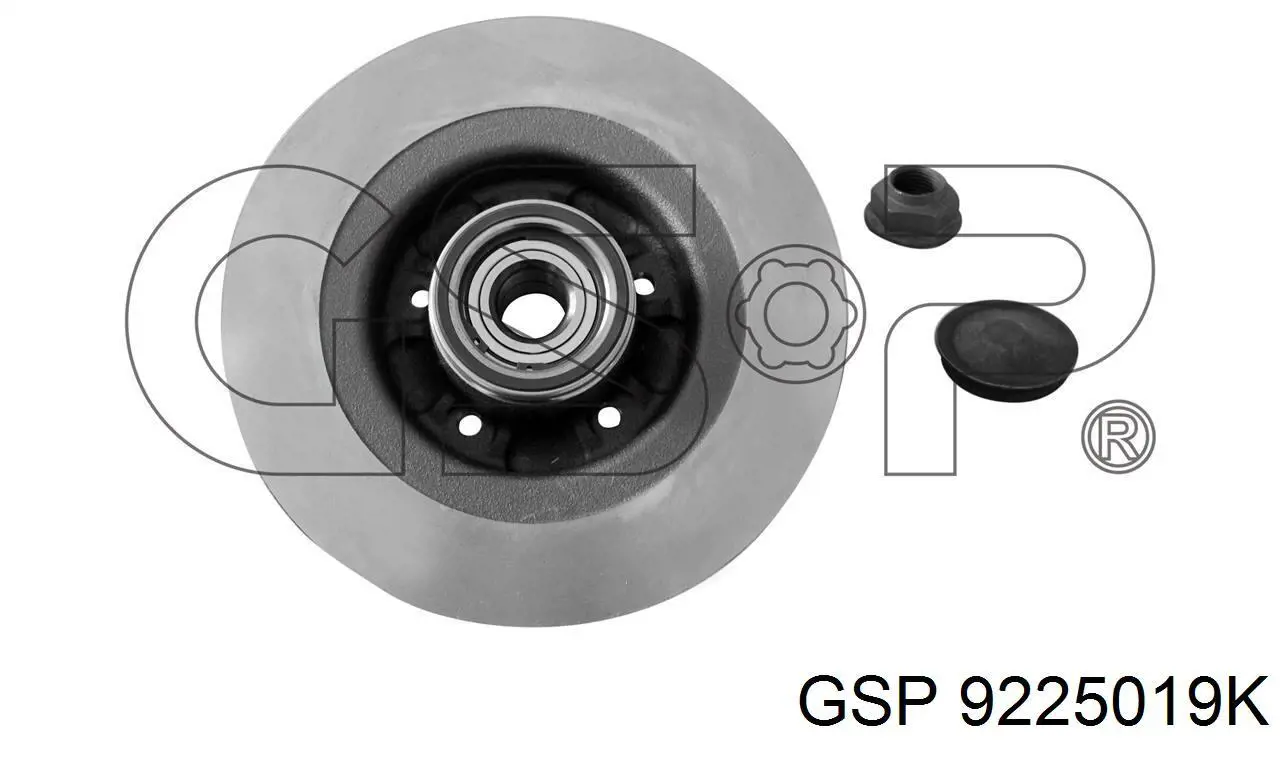 Disco de freno trasero Alfa Romeo 33 905