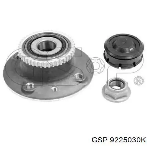 Comprar 9225030K GSP Cubo de rueda, Eje trasero