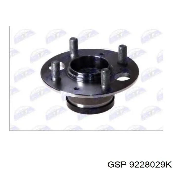 Cubo de rueda trasero 9228029K GSP