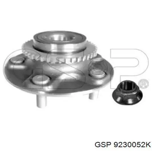 9230052K GSP cubo de rueda trasero