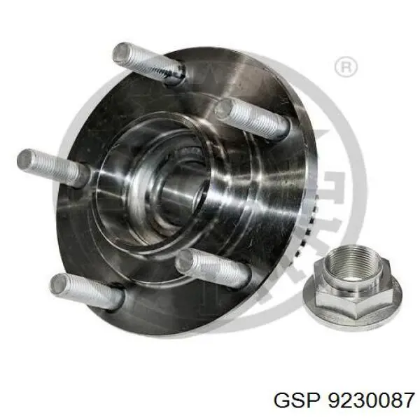Cubo de rueda trasero T490258 STC