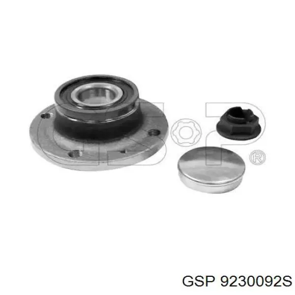 Comprar 9230092S GSP Cubo de rueda, Eje trasero