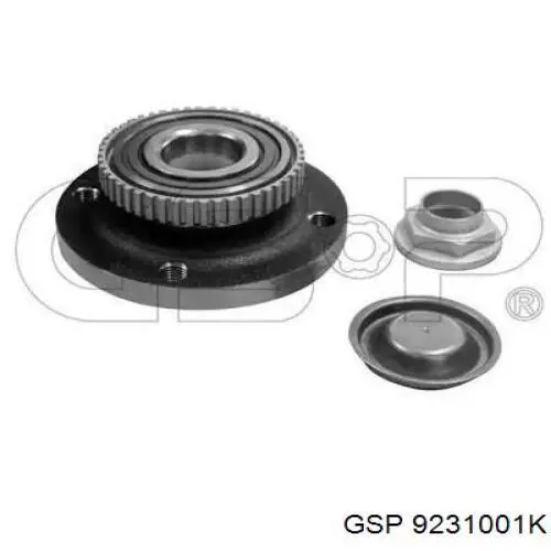 Buje de rueda delantero 9231001K GSP