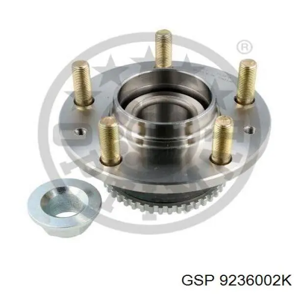 Cubo de rueda trasero 9236002K GSP
