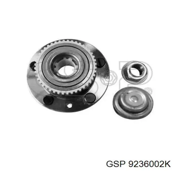 Buje GSP 9236002K