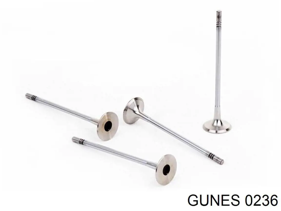 0236 Gunes