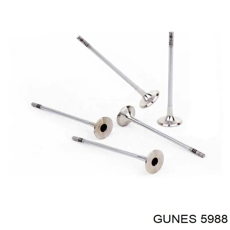 Comprar 5988 Gunes Válvula escape