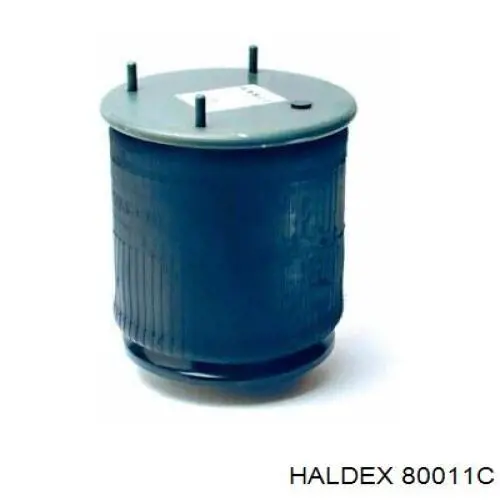 80011C Haldex