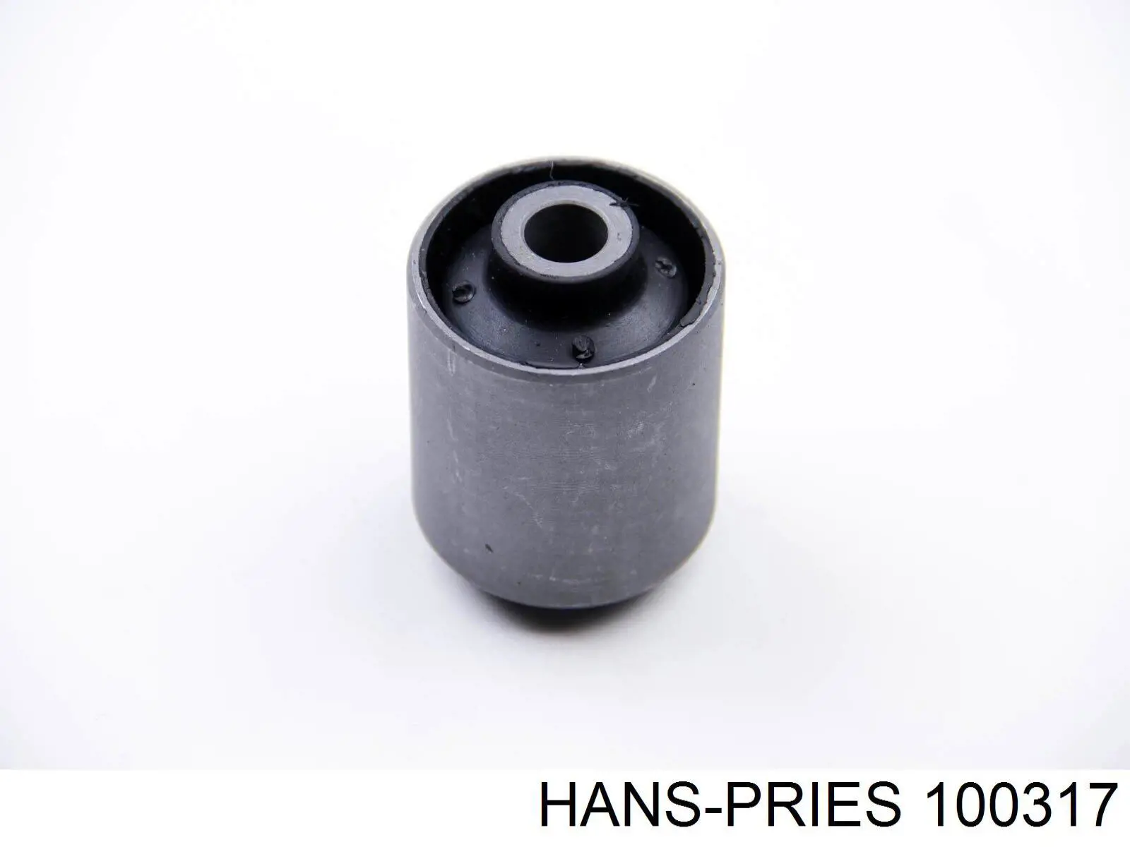 Conducto de aire caliente al regulador Hans Pries (Topran) 100317 precio, desde 11,29 EUR