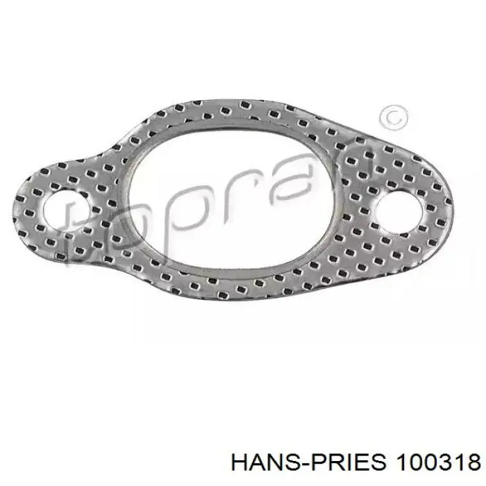 Comprar 100318 Hans Pries (Topran) Junta colector escape