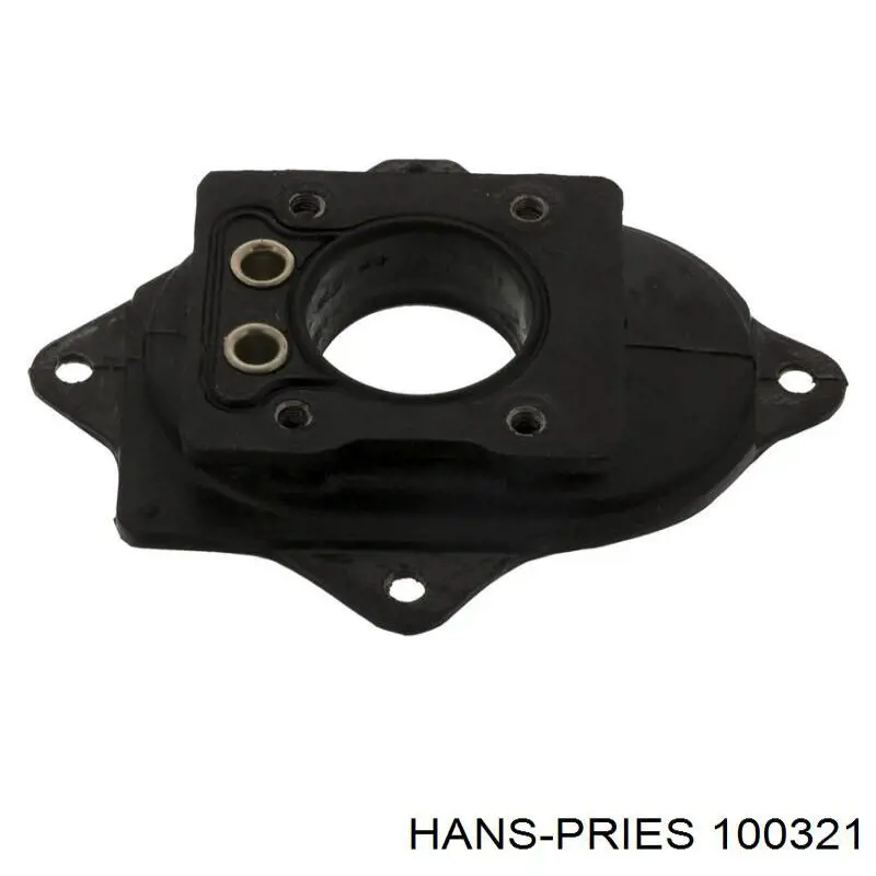 100321 Hans Pries (Topran) pulverizador inyector