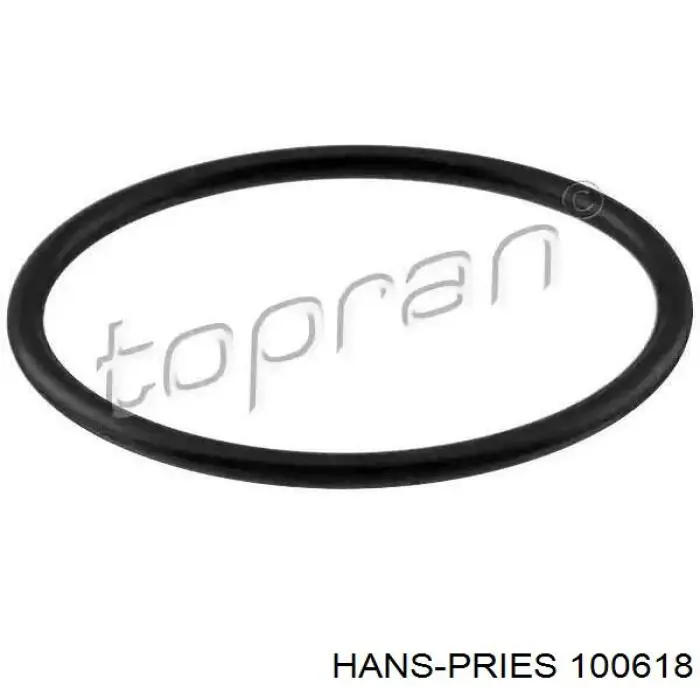 100618 Hans Pries (Topran) junta, termostato