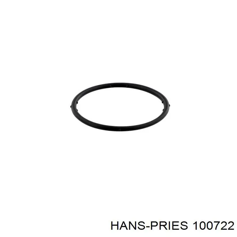 100722 Hans Pries (Topran) junta de brida de sistema derefrigeración