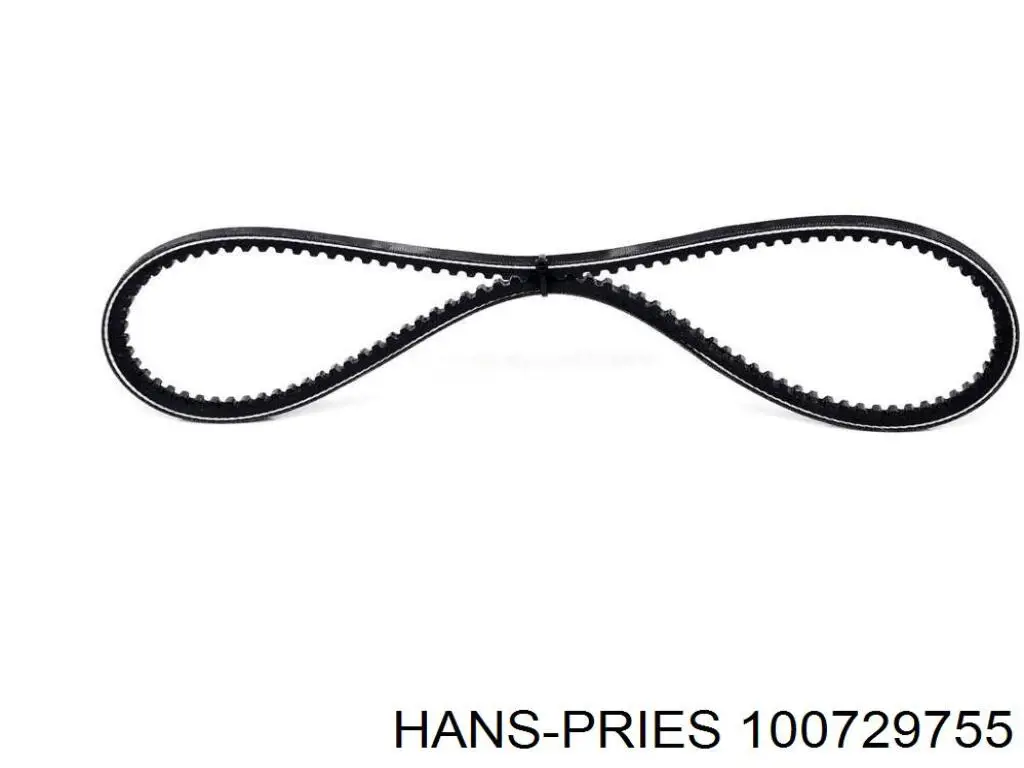 100 729 755 Hans Pries (Topran) correa trapezoidal