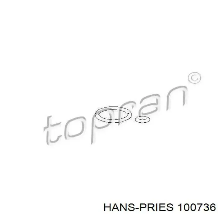 100736 Hans Pries (Topran) junta, válvula control presión, common rail system
