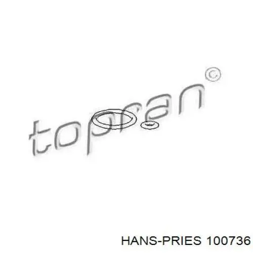 Junta del regulador de presión del riel de combustible Hans Pries (Topran) 100736 precio, desde 3,50 EUR