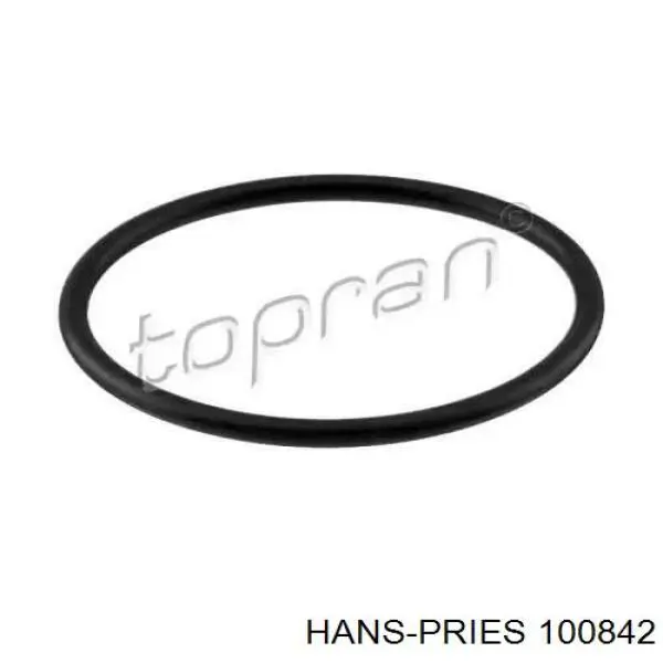 100842 Hans Pries (Topran) sello de la bomba de combustible