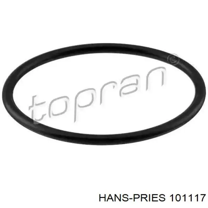 101117 Hans Pries (Topran) junta, termostato