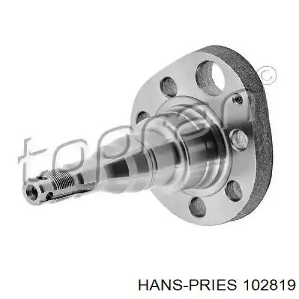 102 819 Hans Pries (Topran) muñón del eje, suspensión de rueda, trasero izquierdo