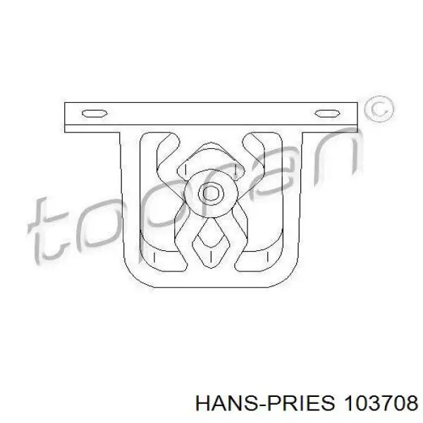 103708 Hans Pries (Topran) tirador de puerta exterior delantero izquierda