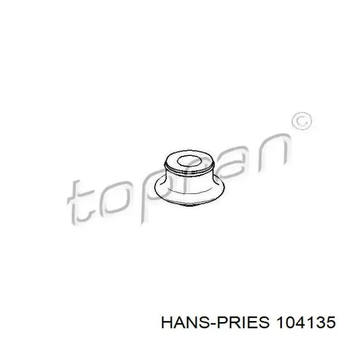 Soporte de motor delantero 104135 Hans Pries (Topran)