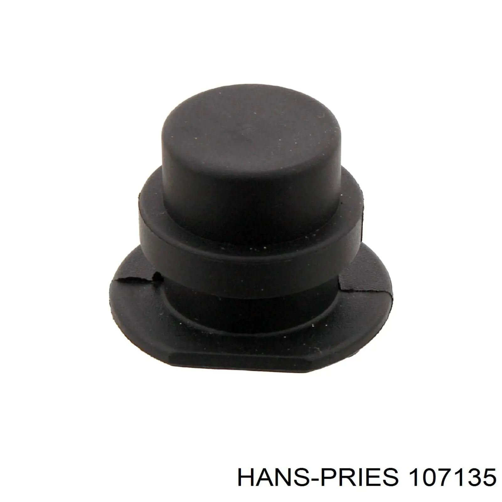 Tapón de culata Seat Ibiza 4 6J5, 6P1