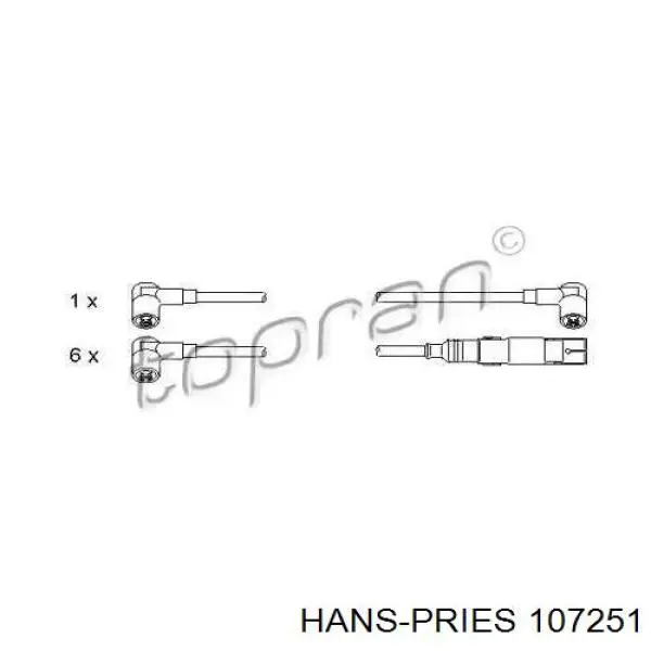 107251 Hans Pries (Topran) juego de cables de encendido