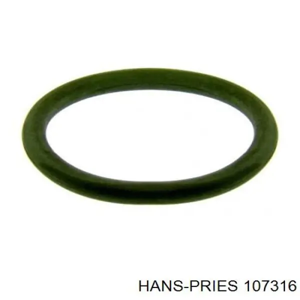 107316 Hans Pries (Topran) junta de inyectores