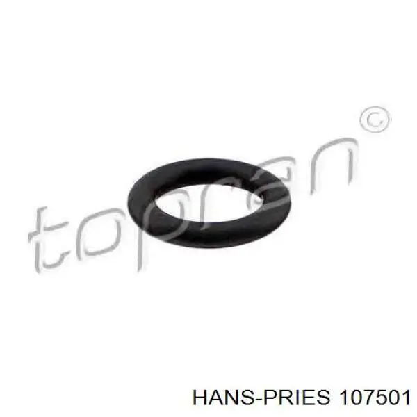 107501 Hans Pries (Topran) junta anular, inyector