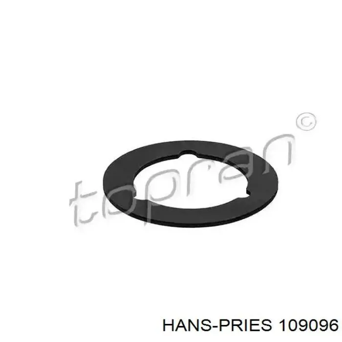 Comprar 109096 Hans Pries (Topran) Junta de tapa del tubo de llenado de aceite