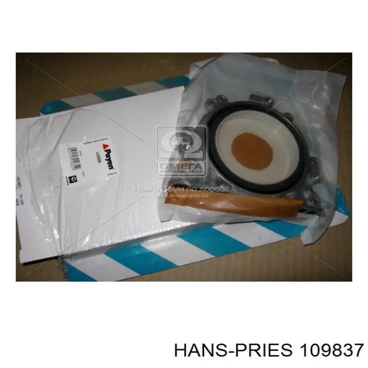 Anillo retén, cigüeñal frontal Audi A2 8Z0