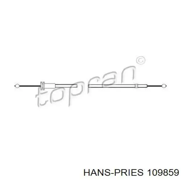 109859 Hans Pries (Topran) cable de apertura de capó del motor