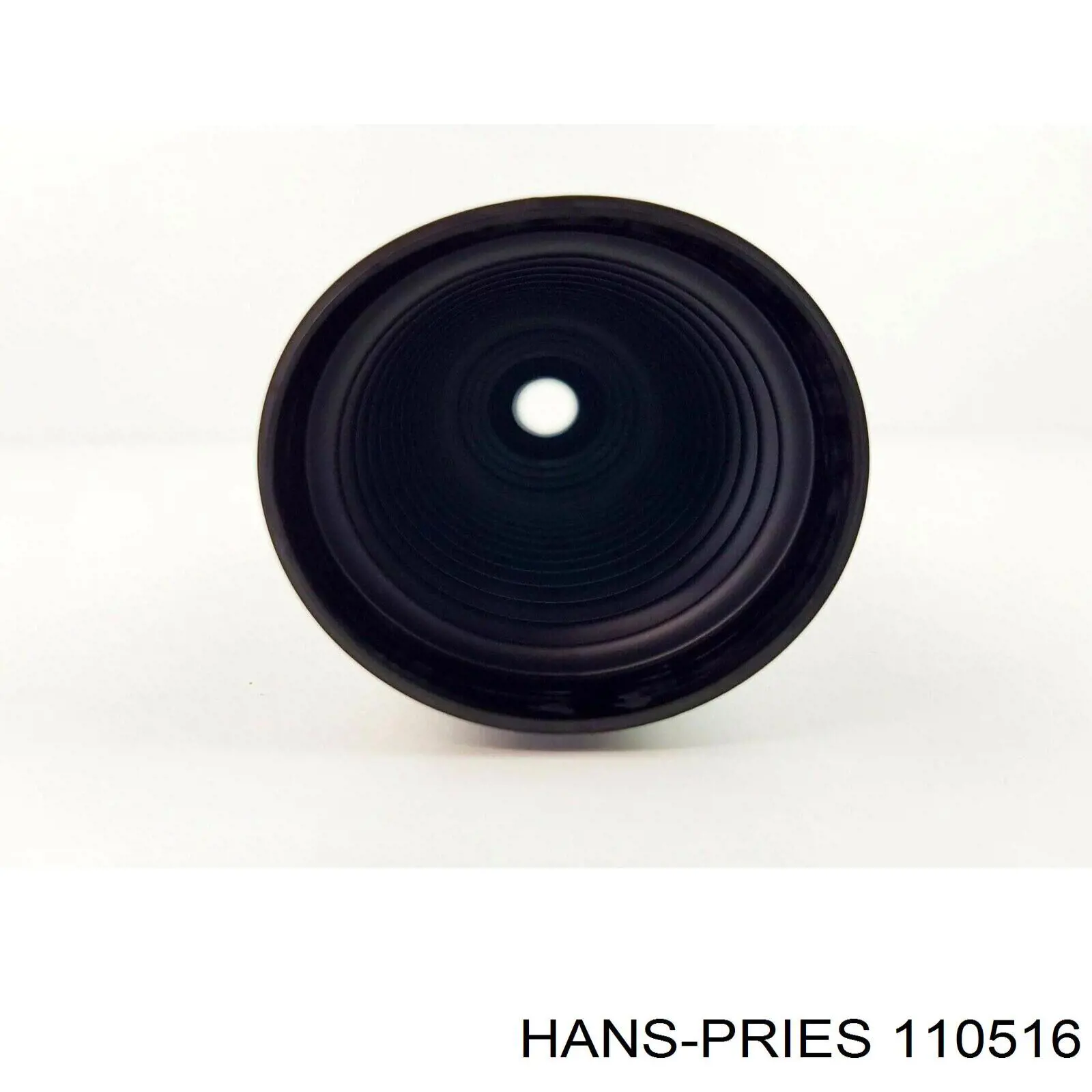 110516 Hans Pries (Topran) fuelle de dirección