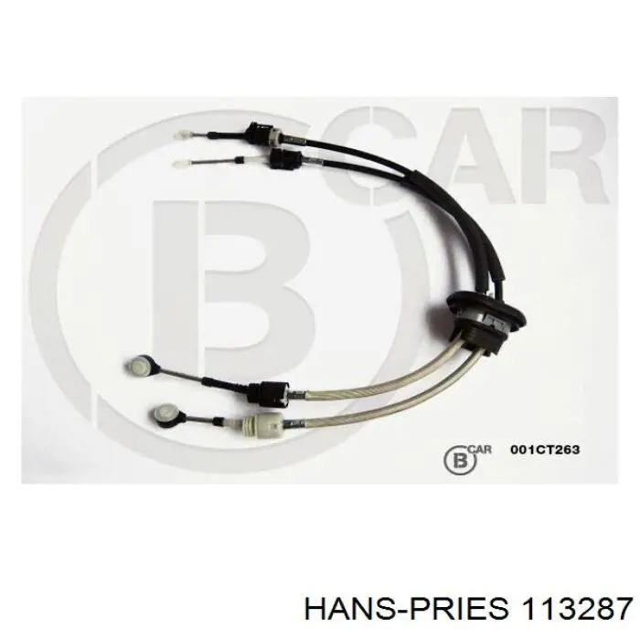 113287 Hans Pries (Topran) Termostato de agua