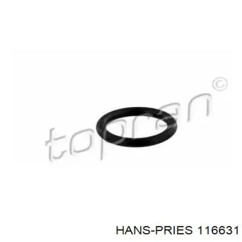 Junta de bomba de agua BMW 11531703848