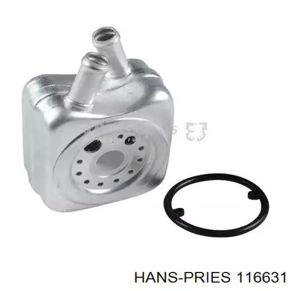 Comprar 11531703848 BMW Junta de bomba de agua